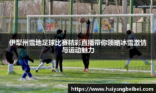 亿百体育官网